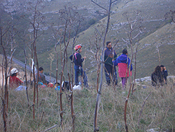 Foto M. Mazzarelli