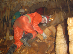 Foto M. Rodi
