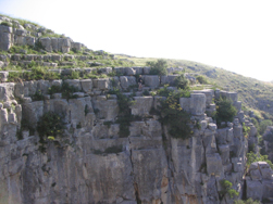 Foto M. Rodi