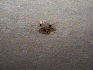 Foto di Giamapaolo Pinto