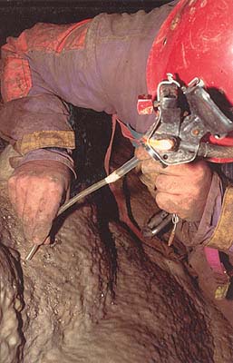 Ricerche biospeleologiche