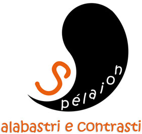 logo Splaion