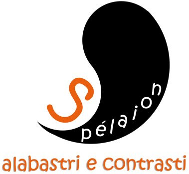 logo Splaion