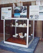 Il Museo Speleologico Franco Anelli - Percorso Museale