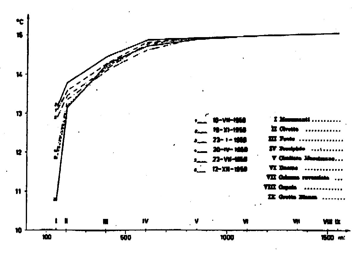 Fig. 1 - Distribuzione delle temperature lungo l'asse delle Grotte a 1 m dal piano di calpestio