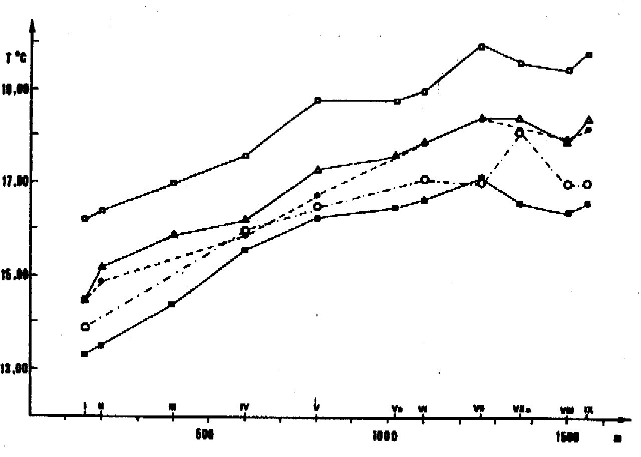 Fig. 3 - Distribuzione delle temperature lungo l'asse delle grotte tra il 29-XI-1981 e il 10-III-1983