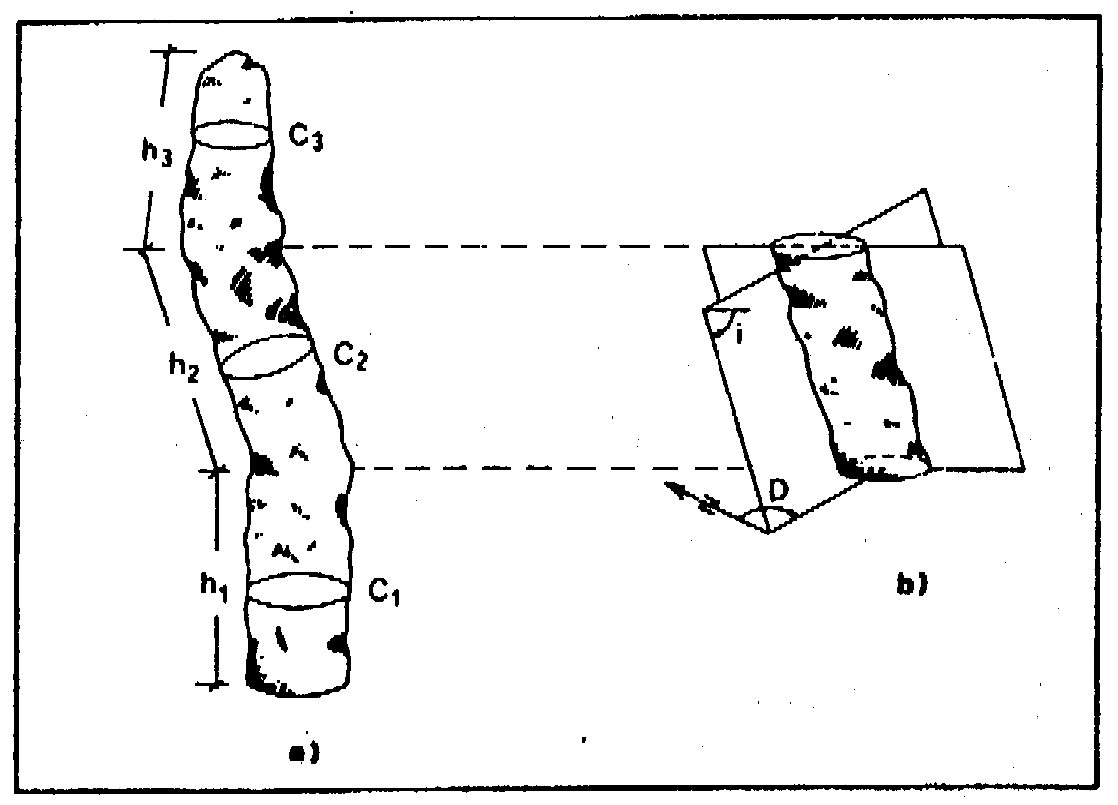 Fig. 3 - Stalagmite tipo e parametri geometrici misurati